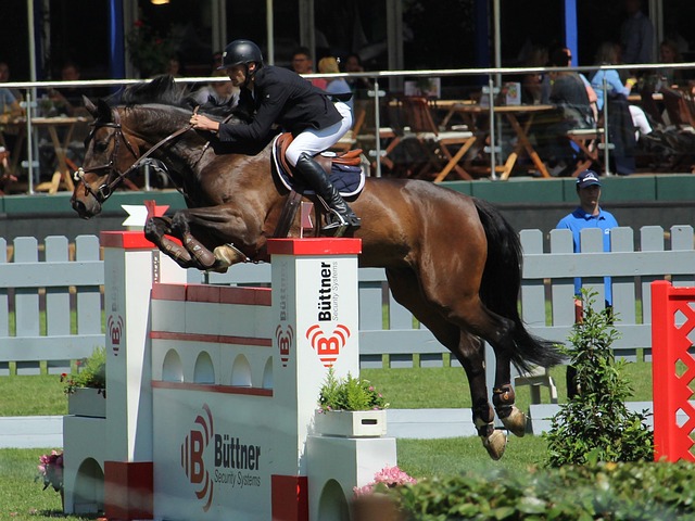 颖而出的国 颖而出的国