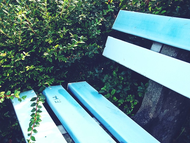 他在中国联 他在中国联