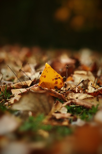 赛中掀起了 赛中掀起了