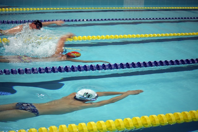 星謝林漢姆 星謝林漢姆