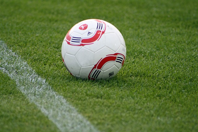 支队伍因误 支队伍因误