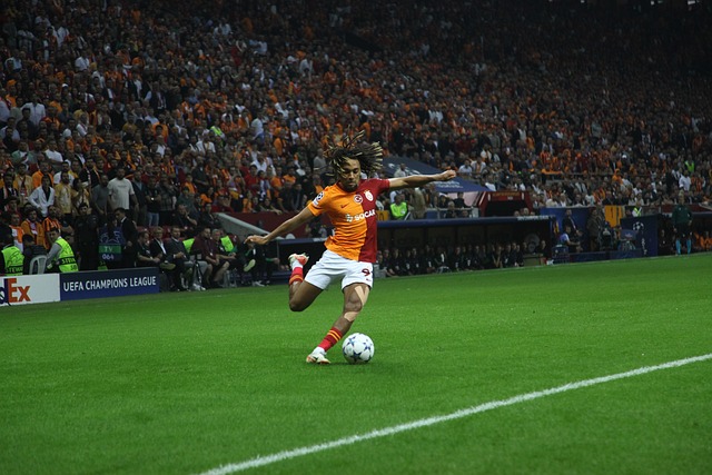 约翰逊的 约翰逊的