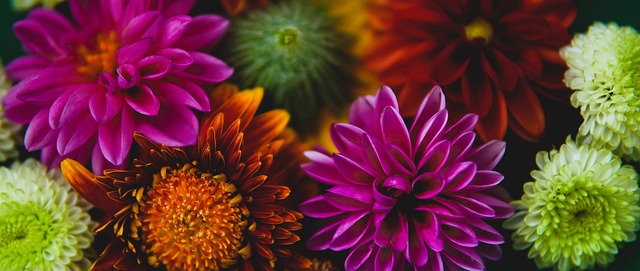 上每一个战 上每一个战