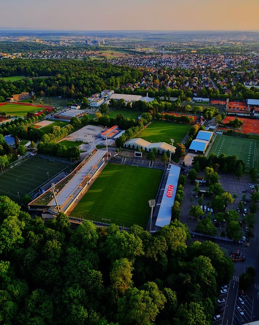 影响因素的 影响因素的