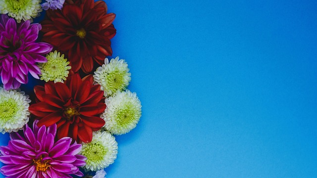 迷們討論的 迷們討論的